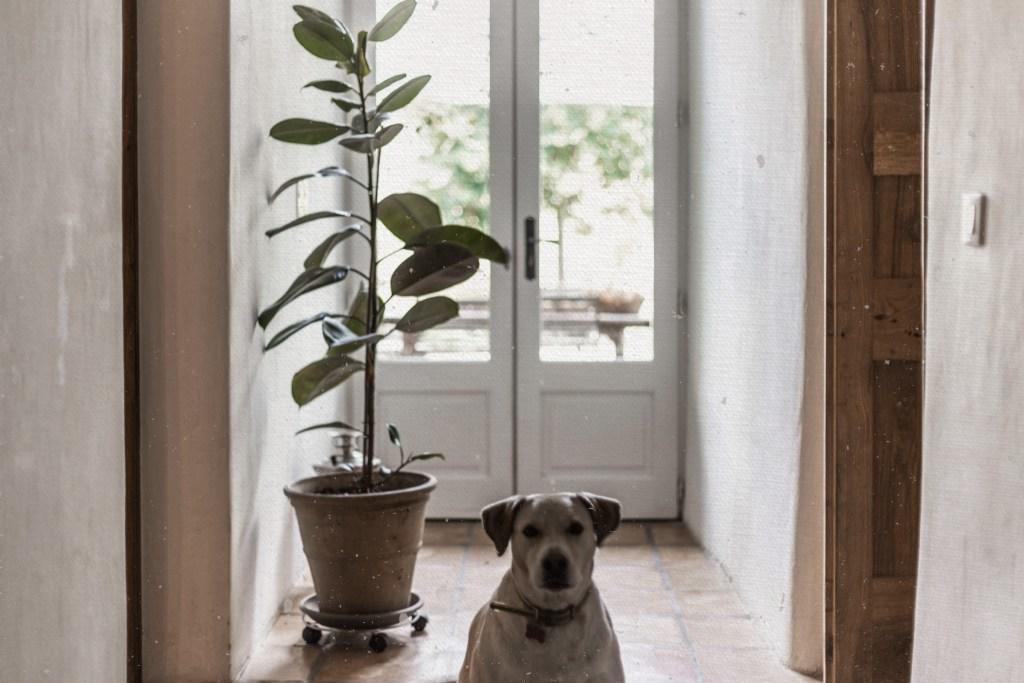 Residence Crone Castillon-en-Couserans Luaran gambar